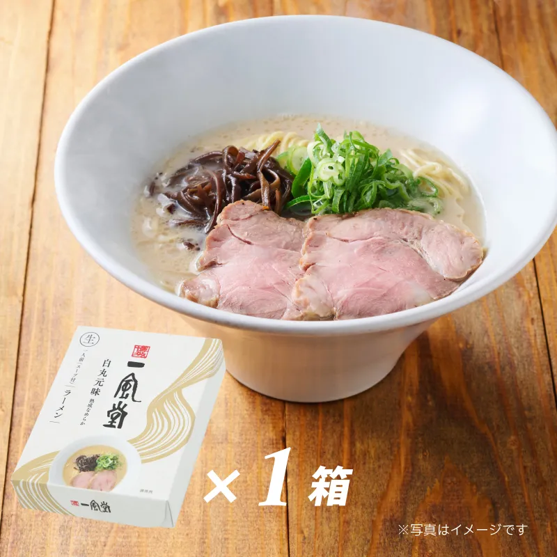 一風堂白丸1食箱