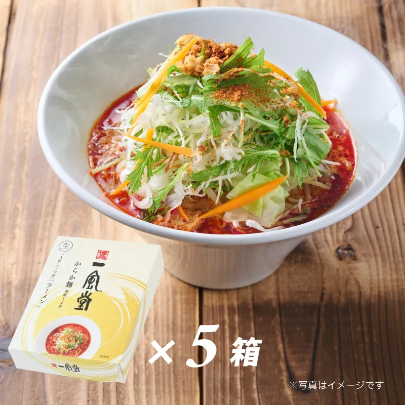 一風堂からか5食セット