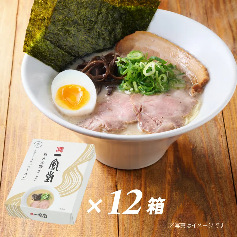 一風堂白丸12食セット