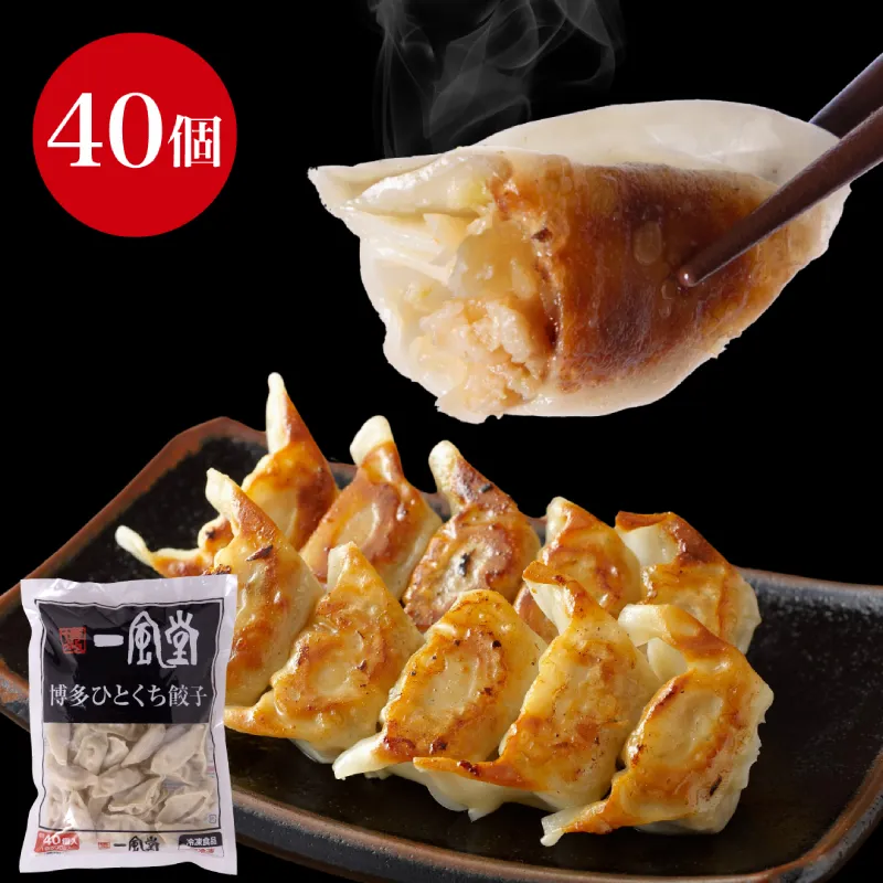 【冷凍】一風堂博多ひとくち餃子500g