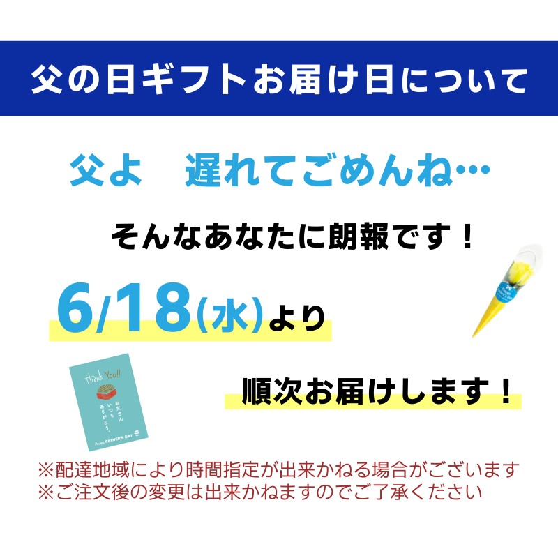 遅れてごめんね父の日お届け日の案内